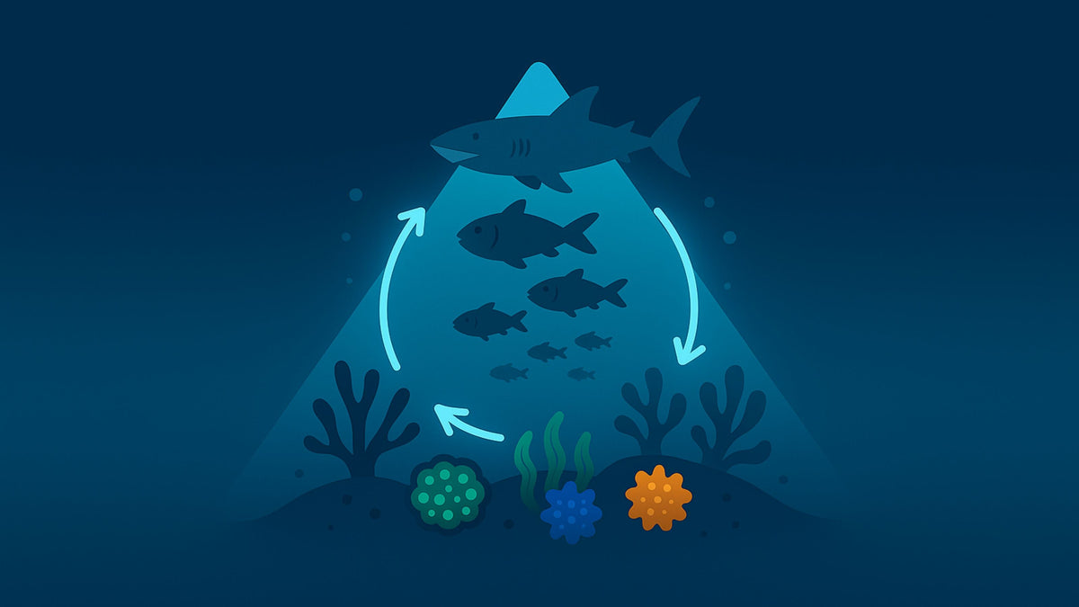 Rot Ecosystem Game McKinsey Ecosystem Building | Collections | PSG Cracked