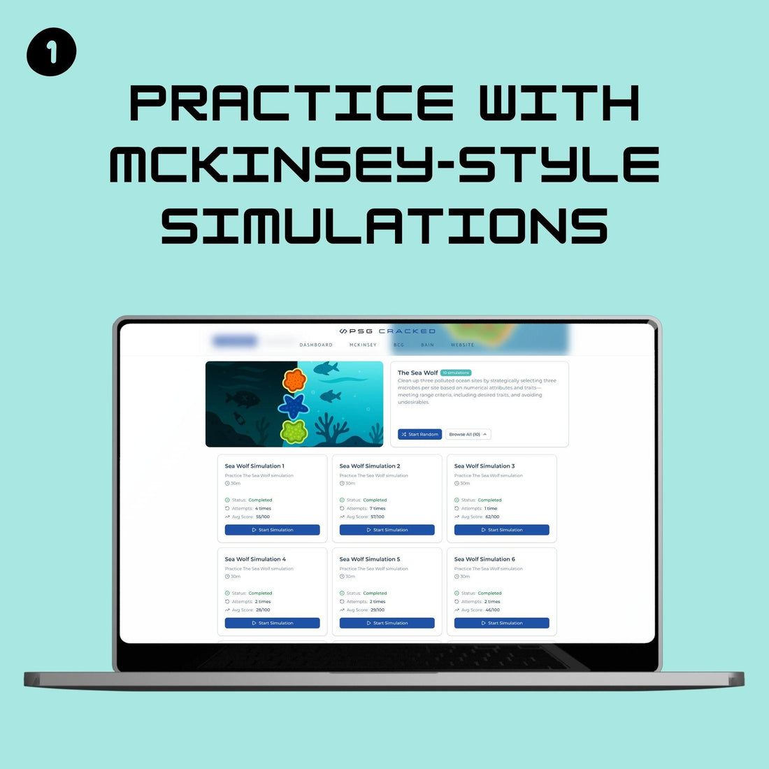 Simulations for The Sea Wolf — McKinsey Solve Game